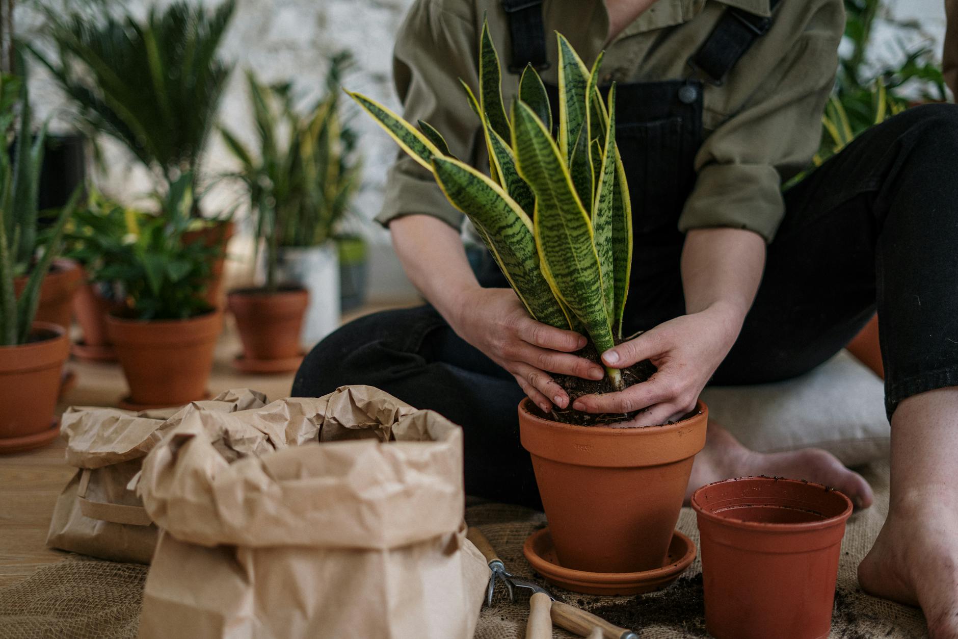 Home composting setup with garden materials in a practical outdoor space
