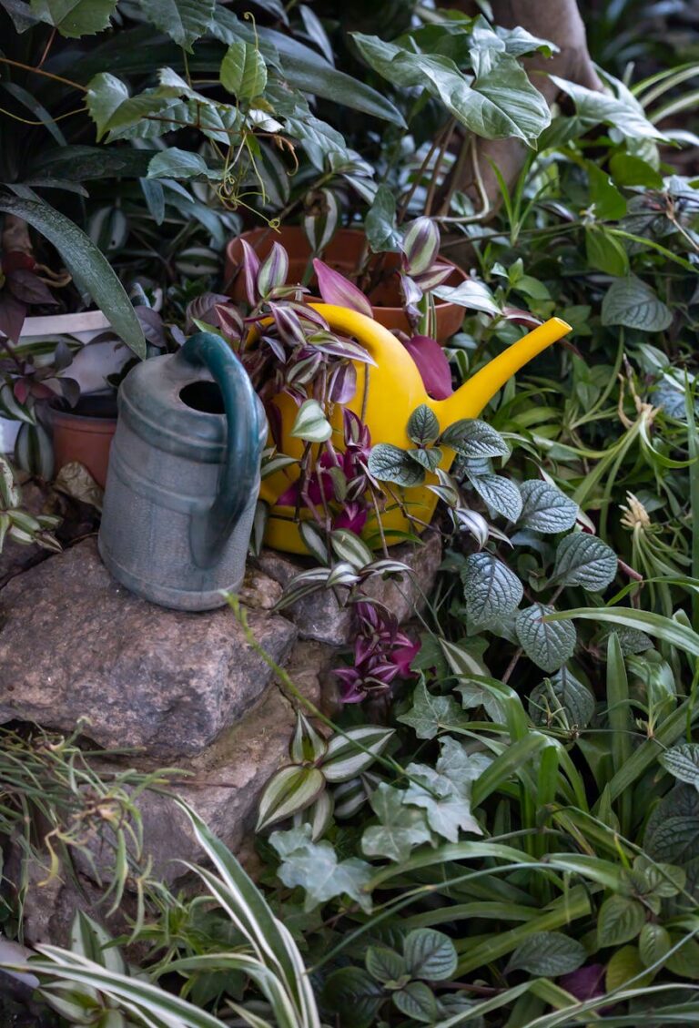 Healthy garden plants growing with water-wise care in a home garden