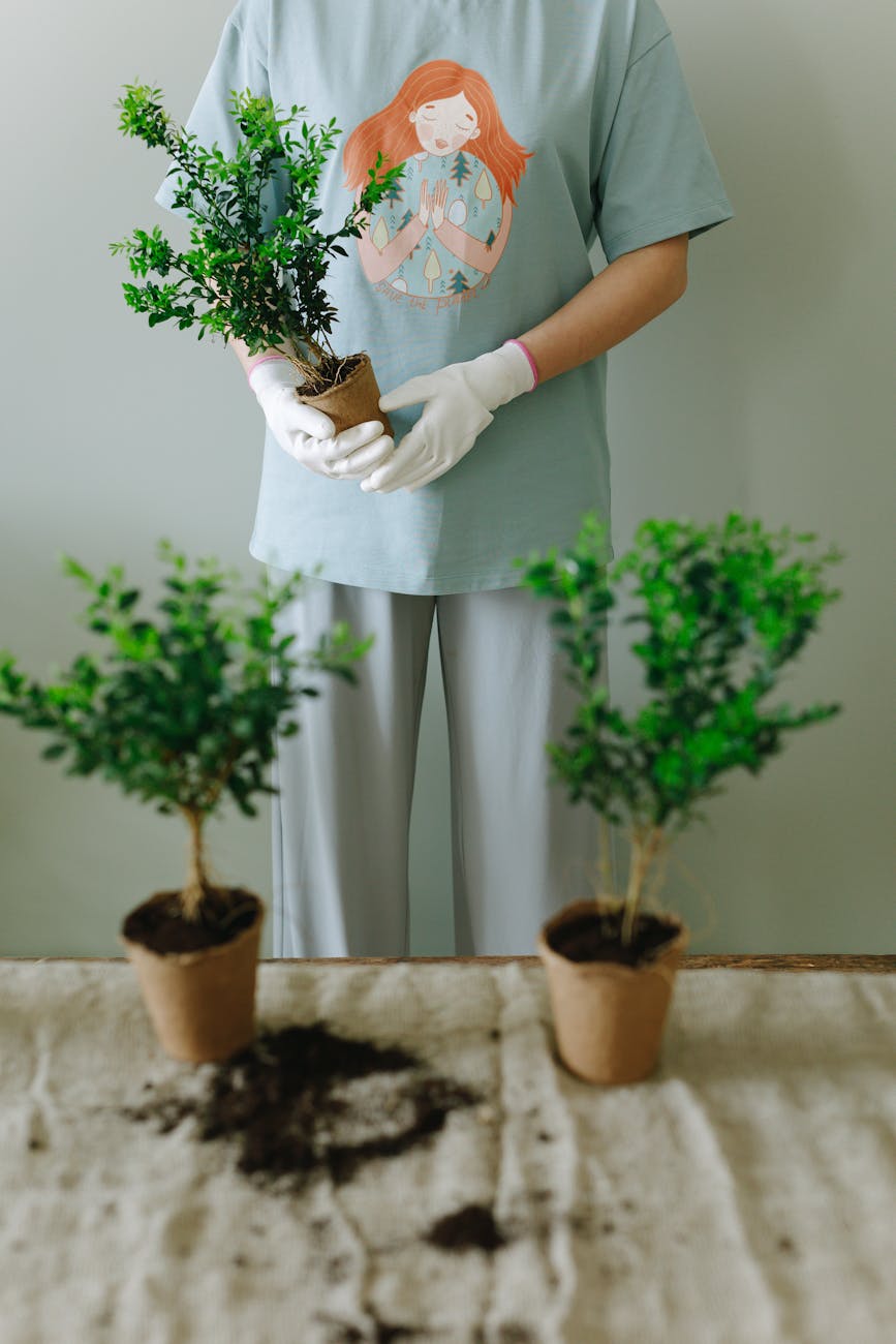 Watering garden plants at soil level to reduce water waste