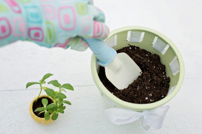 Beginner gardener using a hand trowel in a home garden bed