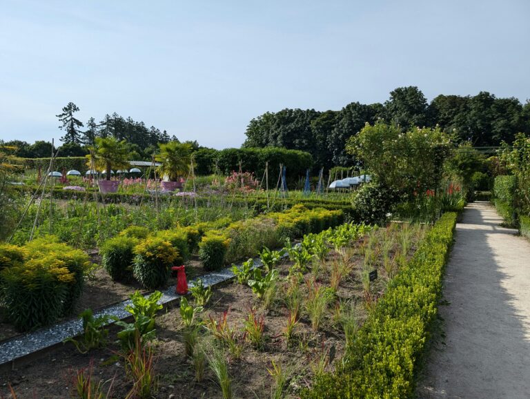 Layered home garden border with diverse flowering and green plants
