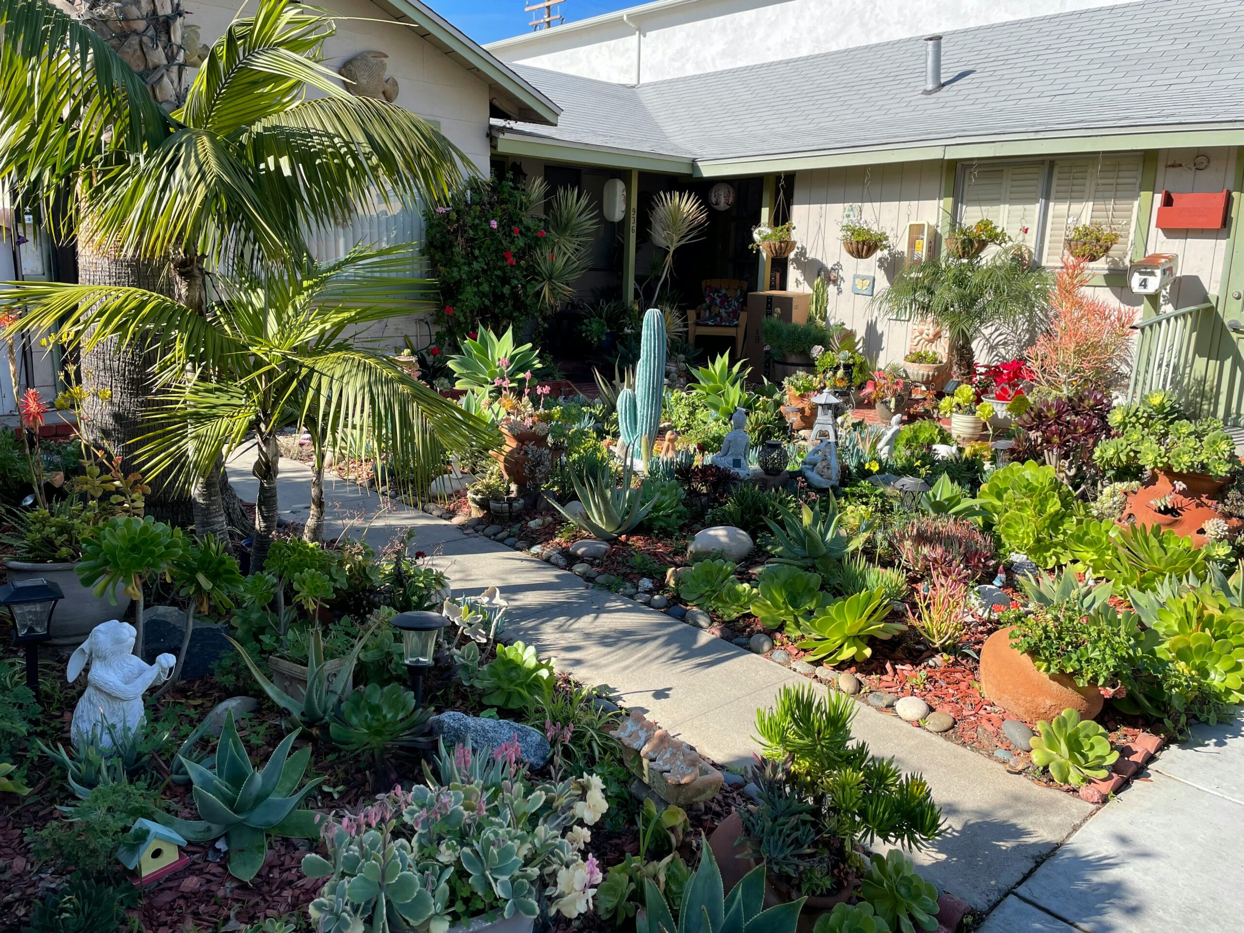 Home landscape with layered plants near the front of a house