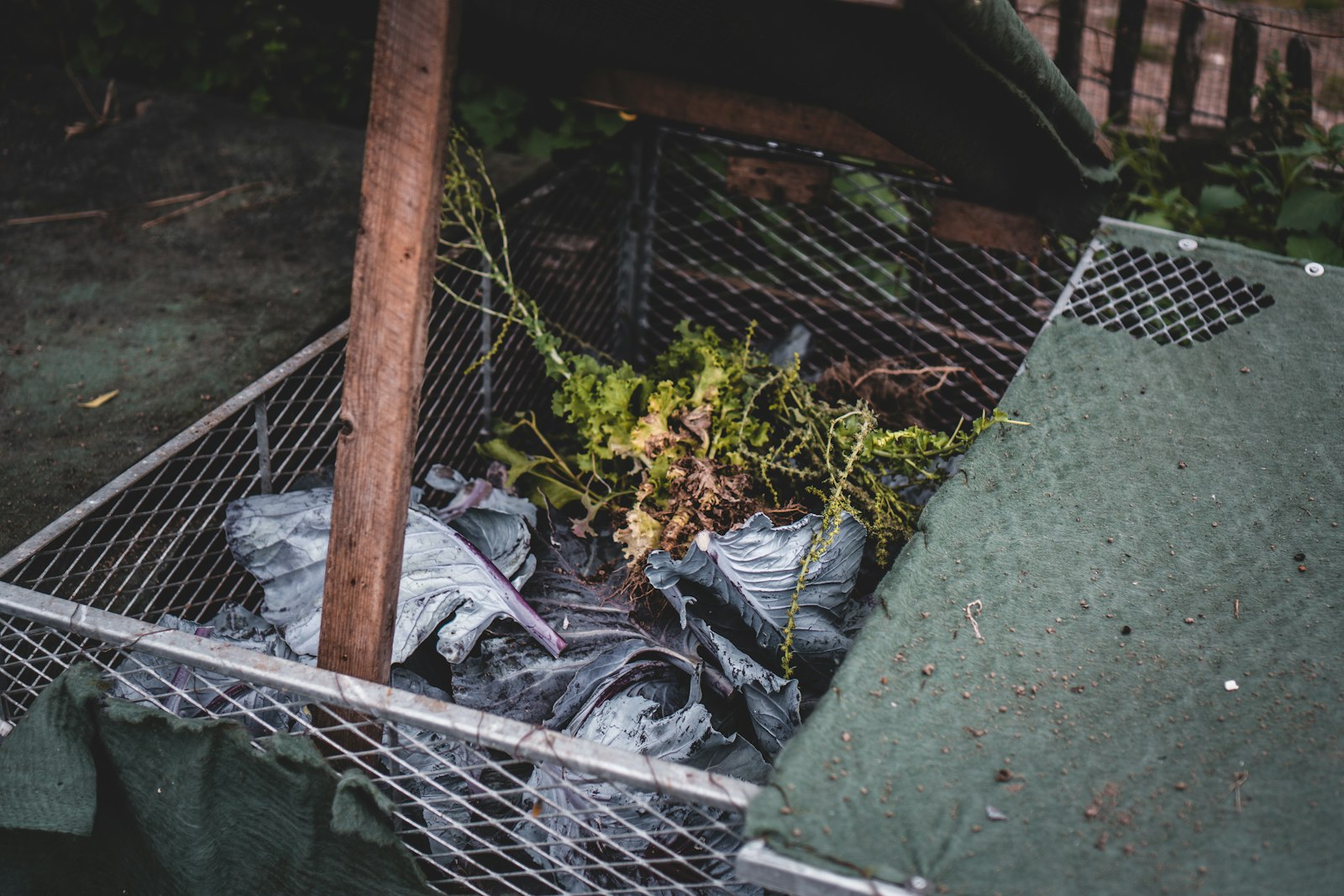 How to Use Compost in Your Garden Without Overdoing It