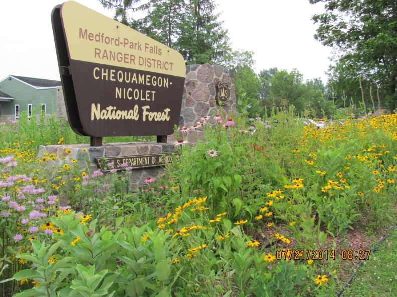 Native plant garden with organized beds and layered flowers