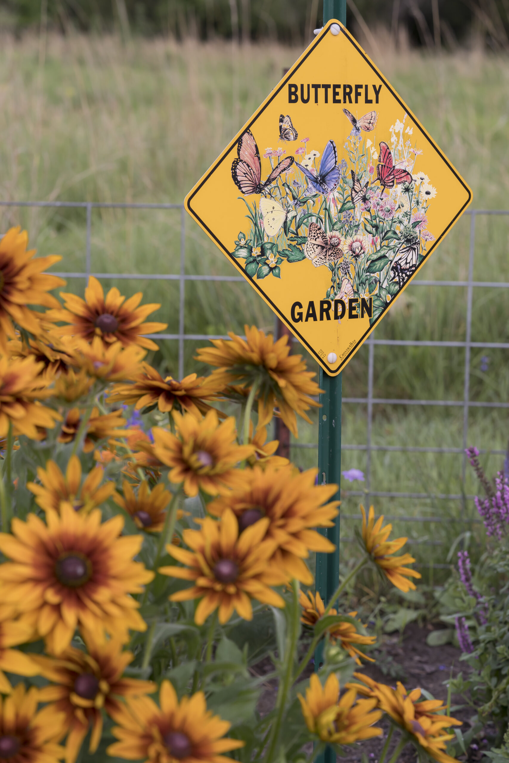 Pollinator garden planting near a maintained path and open lawn