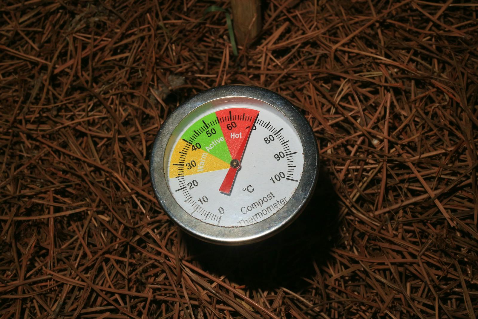 Compost thermometer standing in dark organic material in a garden bed