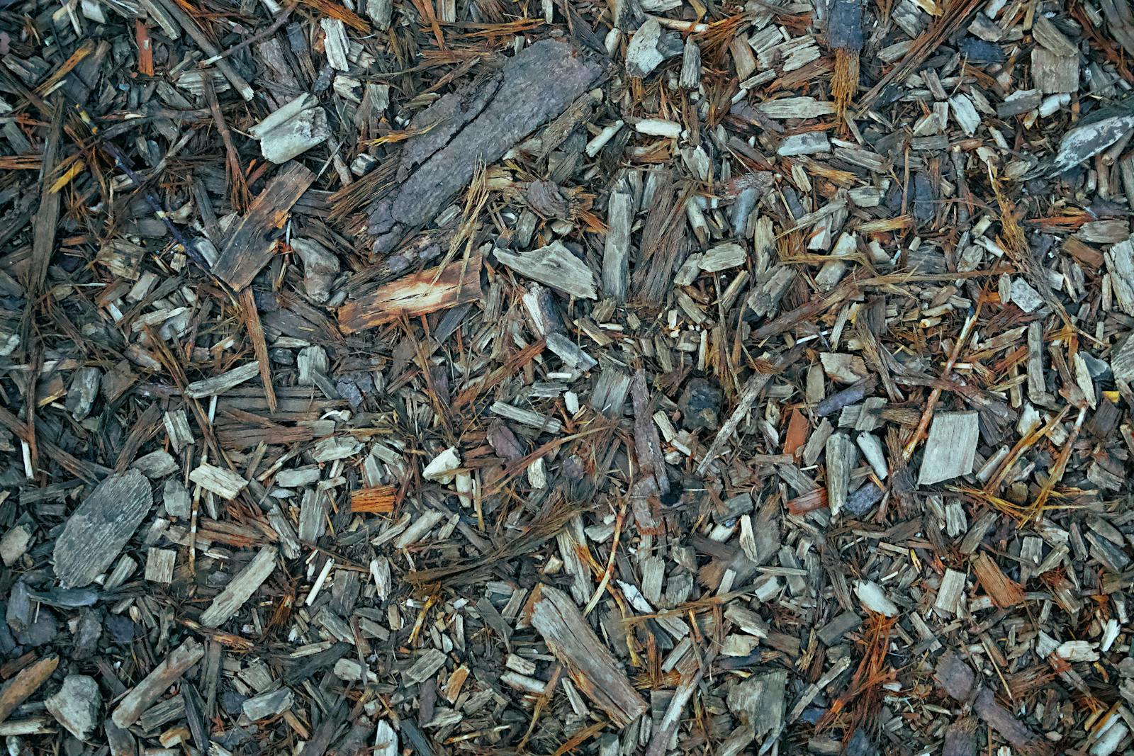 Close-up of wood-chip mulch covering the soil surface