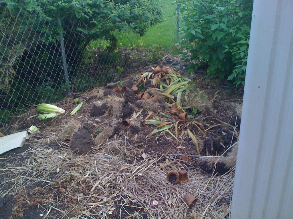 Compost pile made from leaves and yard trimmings in a garden setting