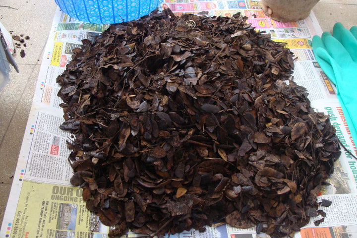 Backyard compost bin