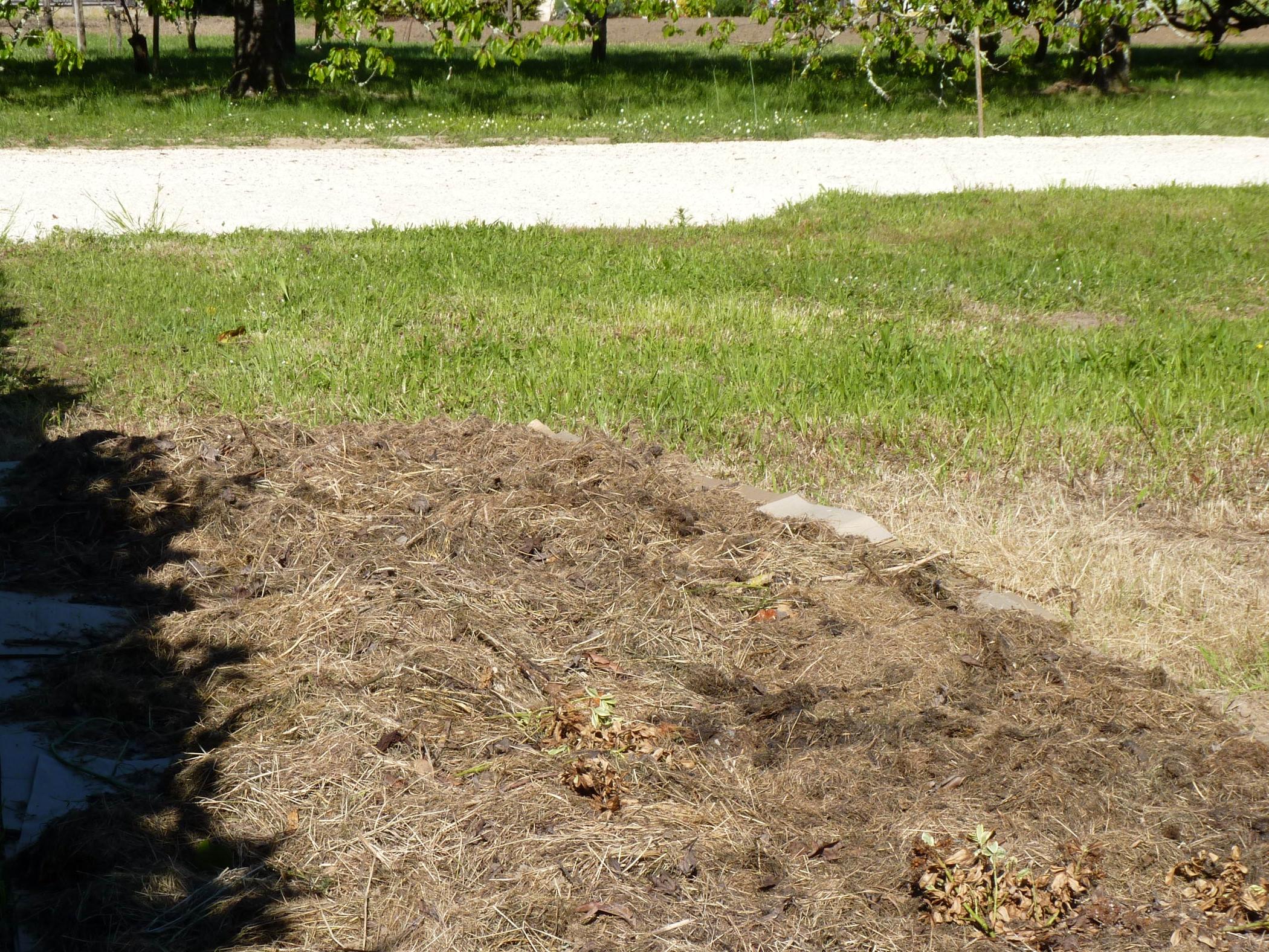 Organic mulch layer spread over cardboard in a new garden bed.