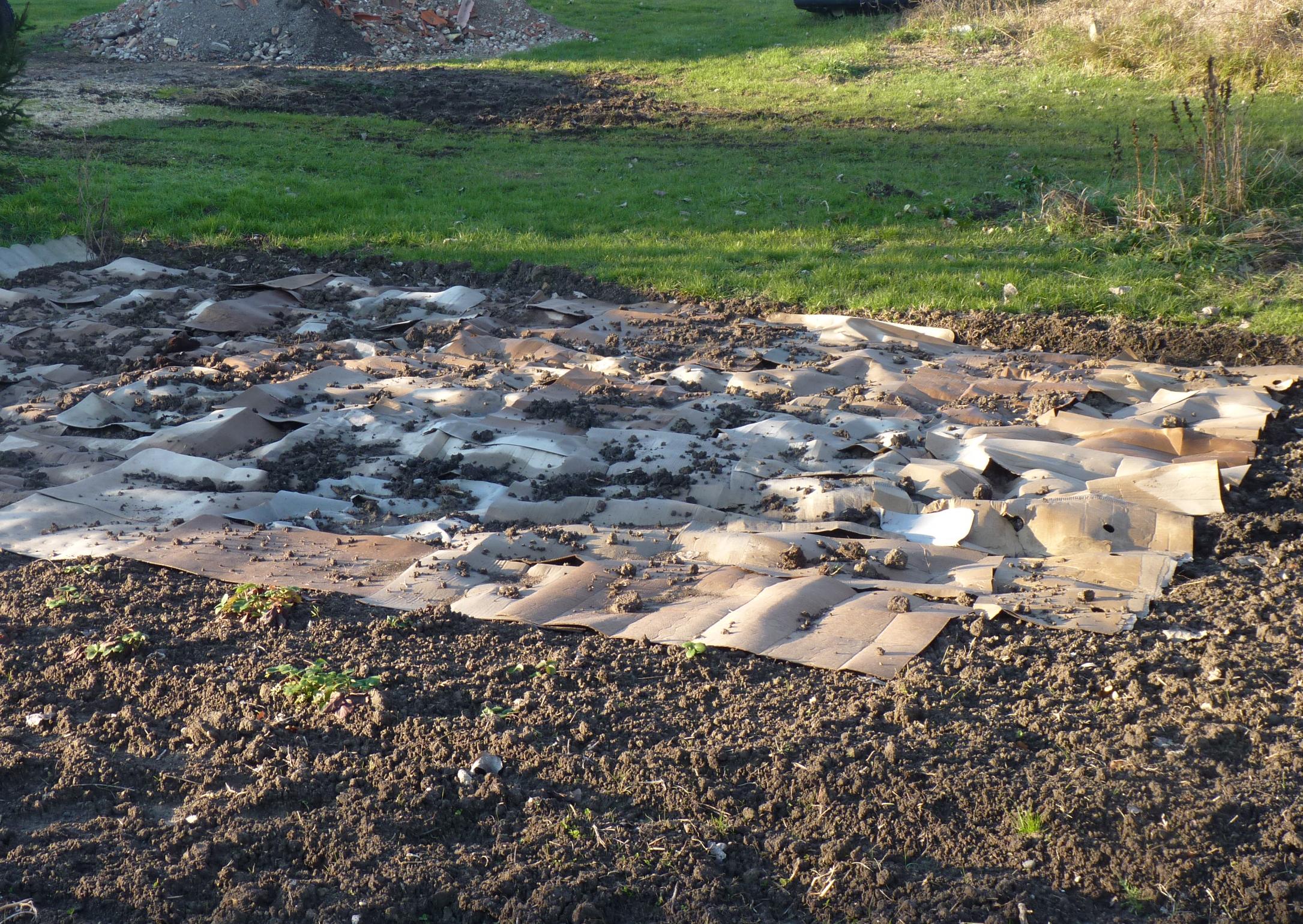 Cardboard laid over a garden area as the first step in sheet mulching.