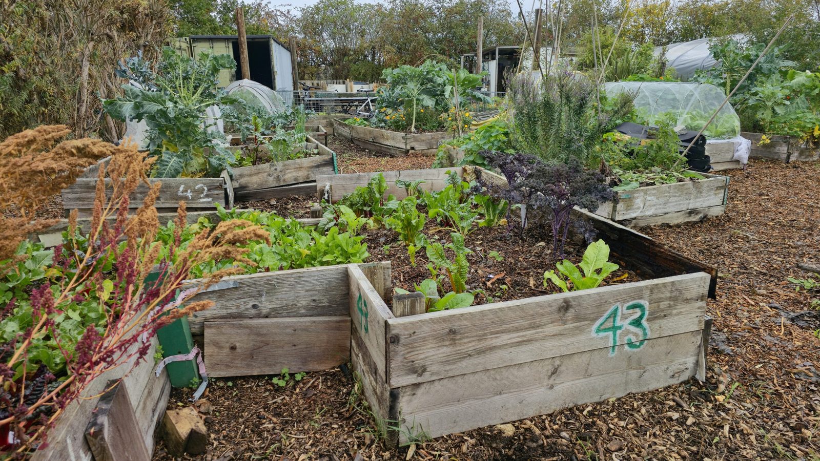 No-Dig Garden Beds for Beginners: Build Better Soil Without Tilling