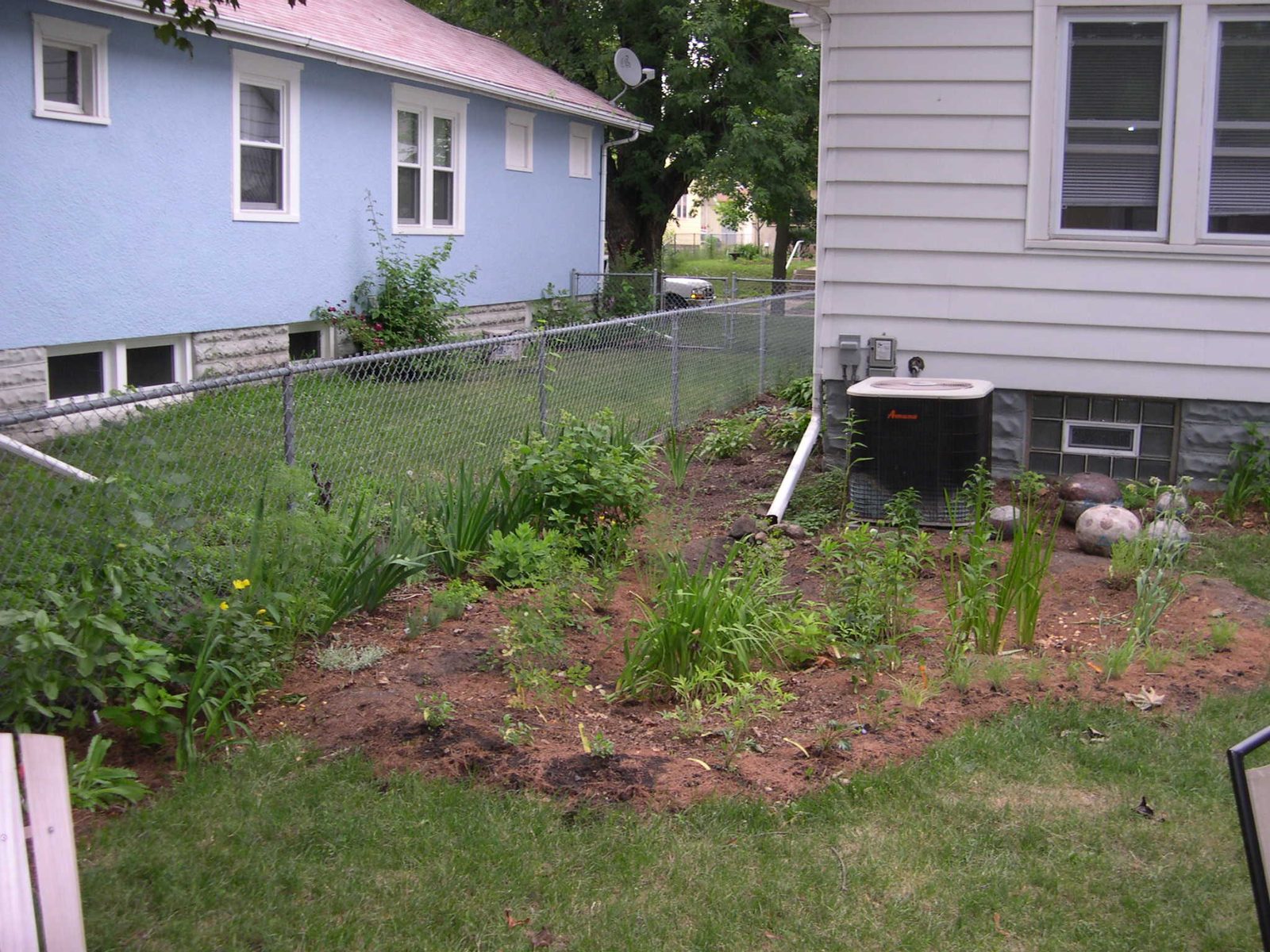 Rain garden planting bed below a home downspout