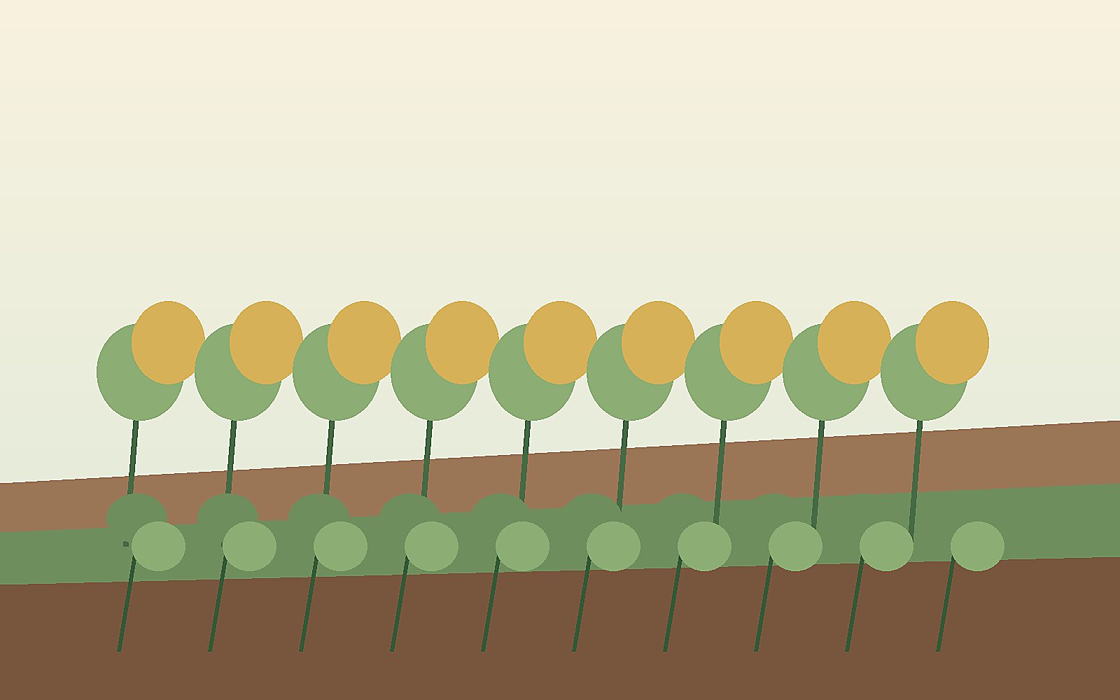 Native Plants vs Ornamental Landscaping: Which Fits a Sustainable Yard?