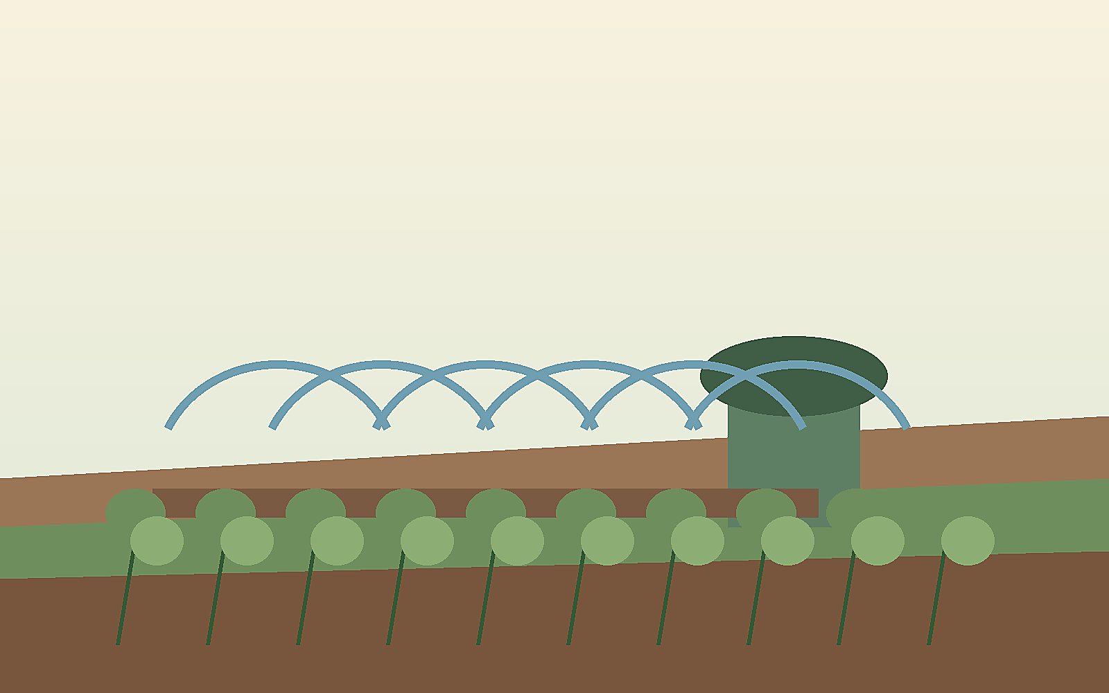 Rainwater moving from a downspout toward planted yard features