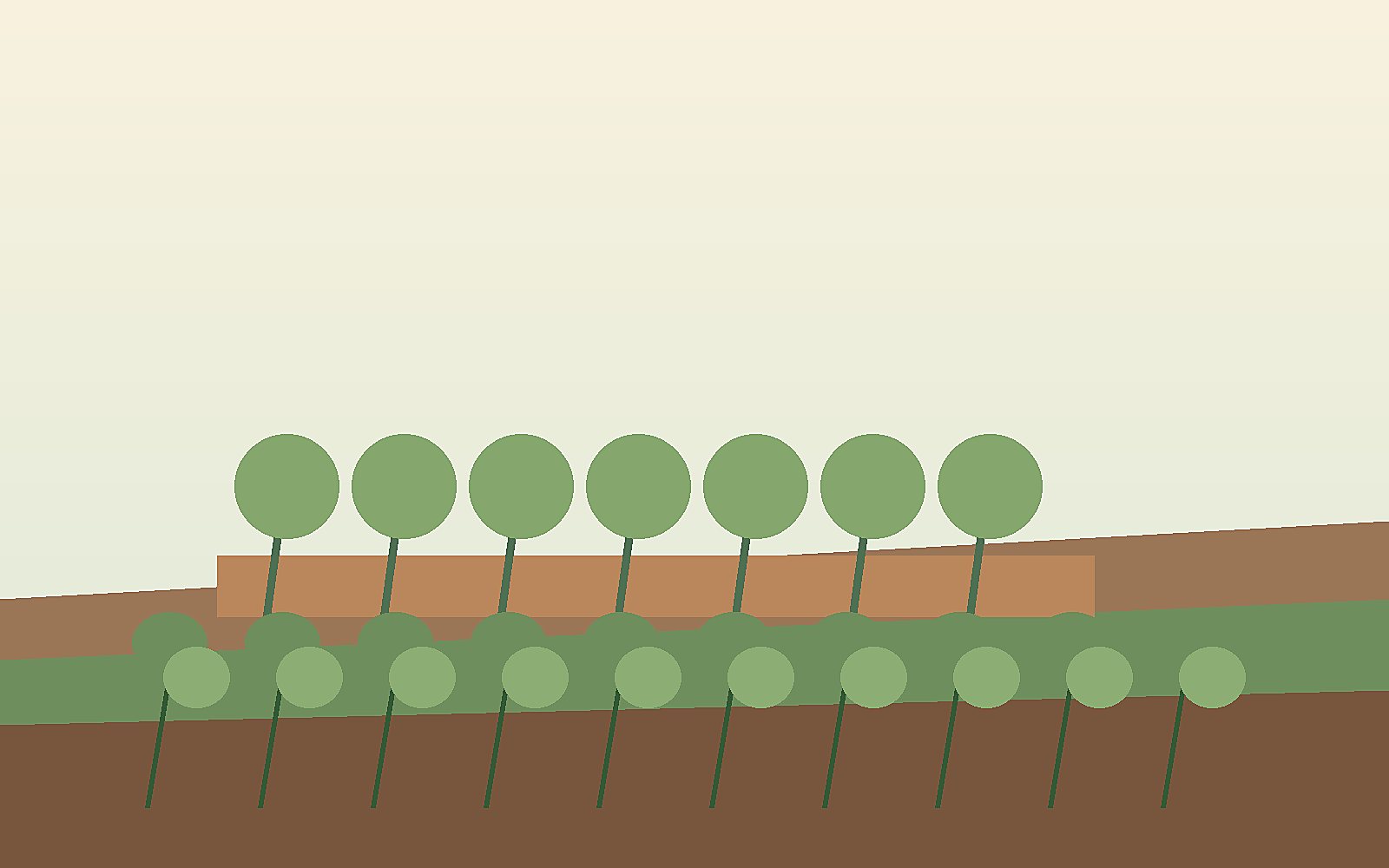 Raised Garden Bed vs In-Ground Bed: Which Is More Sustainable?